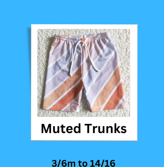 Swim Trunks